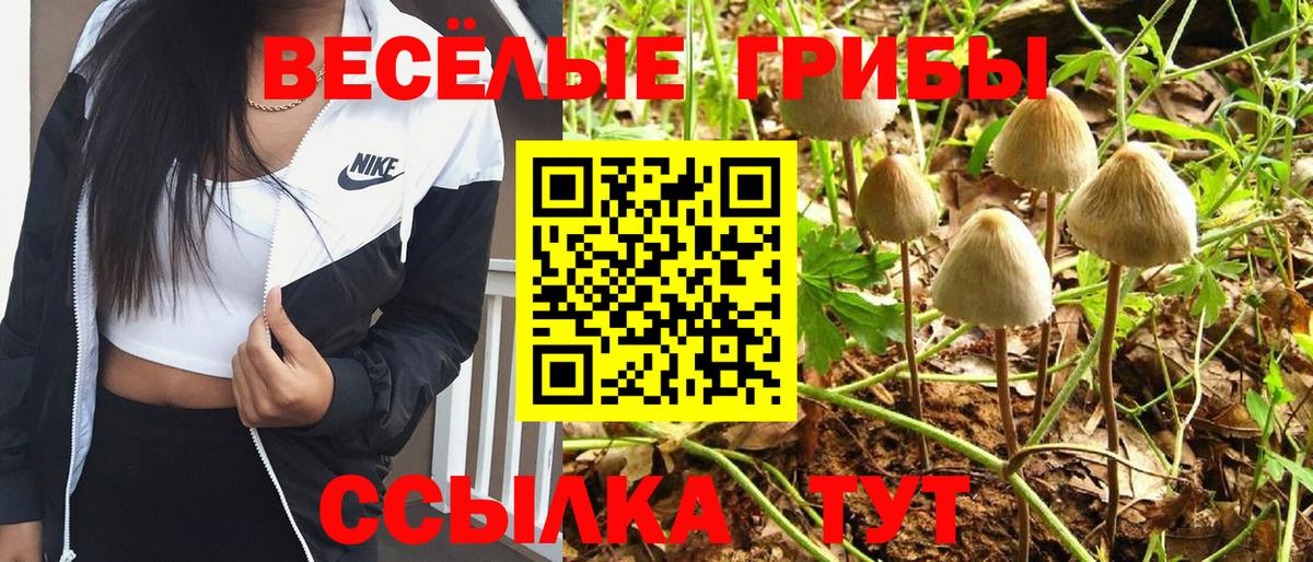 Галлюциногенные грибы Psilocybine cubensis Заволжье