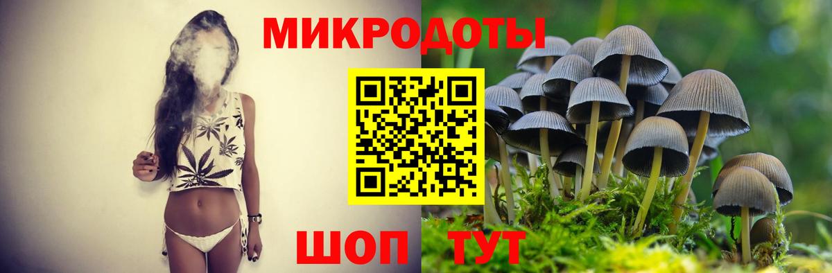 Псилоцибиновые грибы GOLDEN TEACHER  Вход с VPN  наркота  Псилоцибиновые грибы ЛСД  Заволжье 